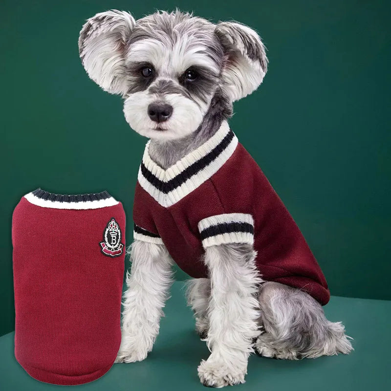 Autumn and winter knitted vest V-neck college style pet clothes vest Teddy Winter Warm Pet Sweater College Style Puppy Knitwear